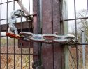 Example of a poor gate locking system(The chain used to lock this gate is strong but the lock itself is too thin and easy to break. This may easily create maintenance problems.